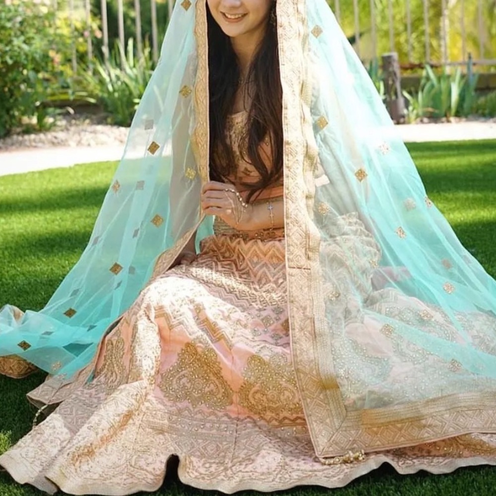 Blush Lehenga with detailed embroidery